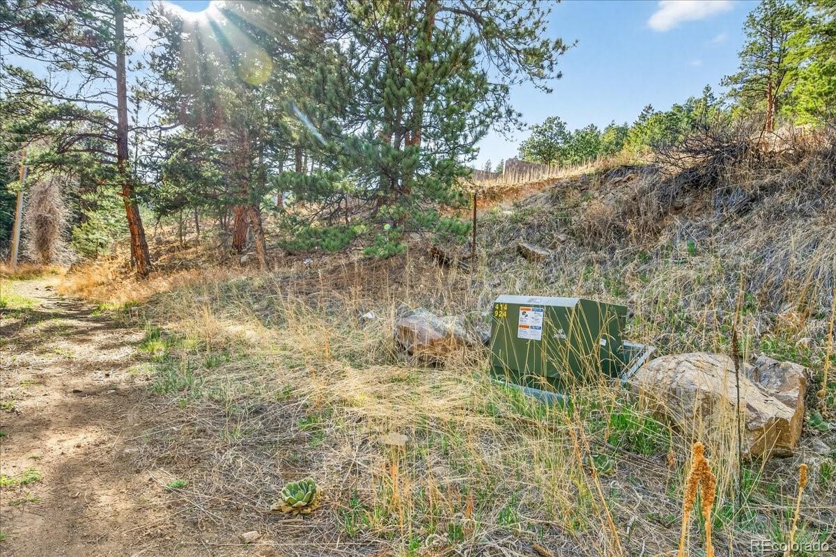 MLS Image #19 for 600  county road 102j ,jamestown, Colorado