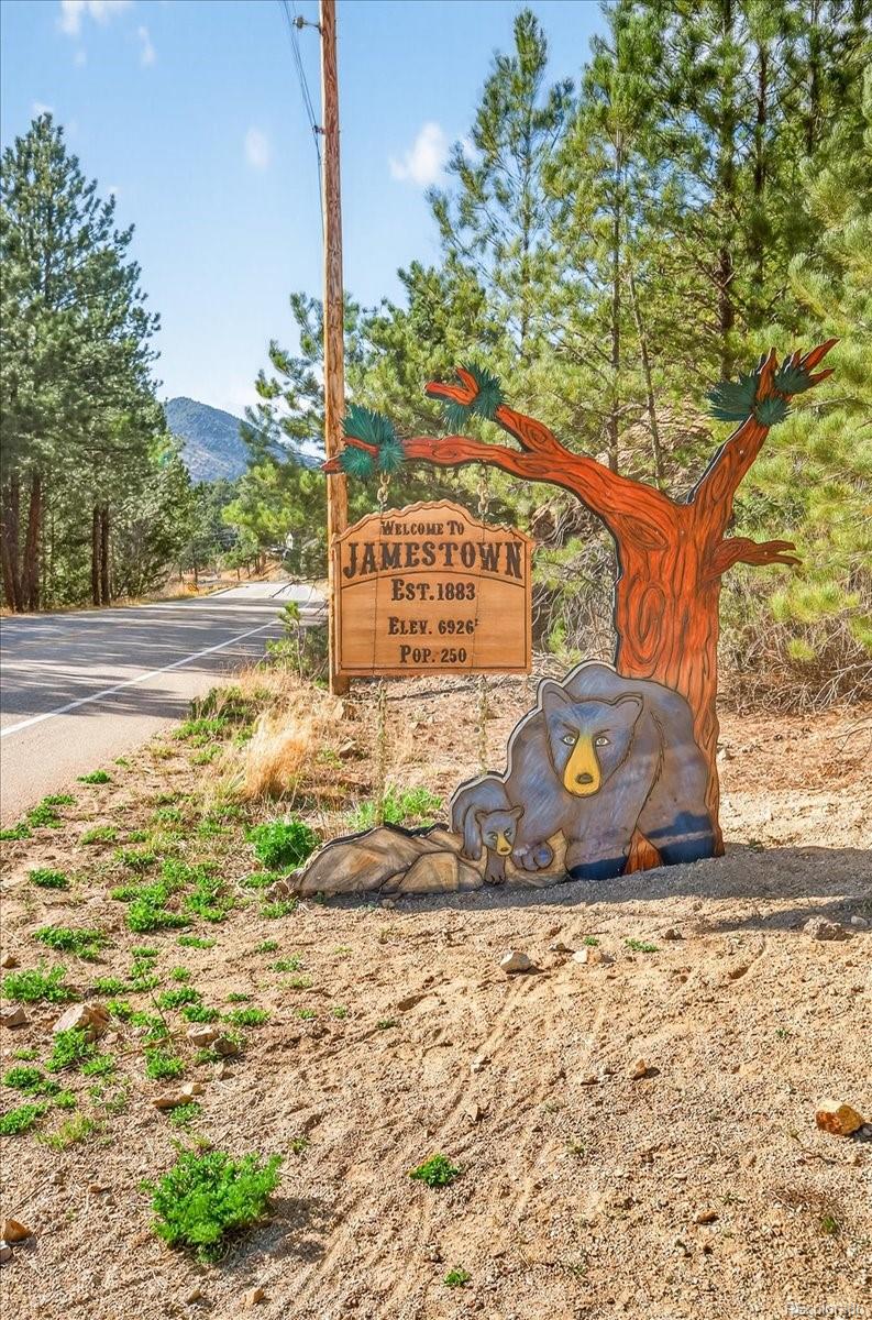 MLS Image #23 for 600  county road 102j ,jamestown, Colorado