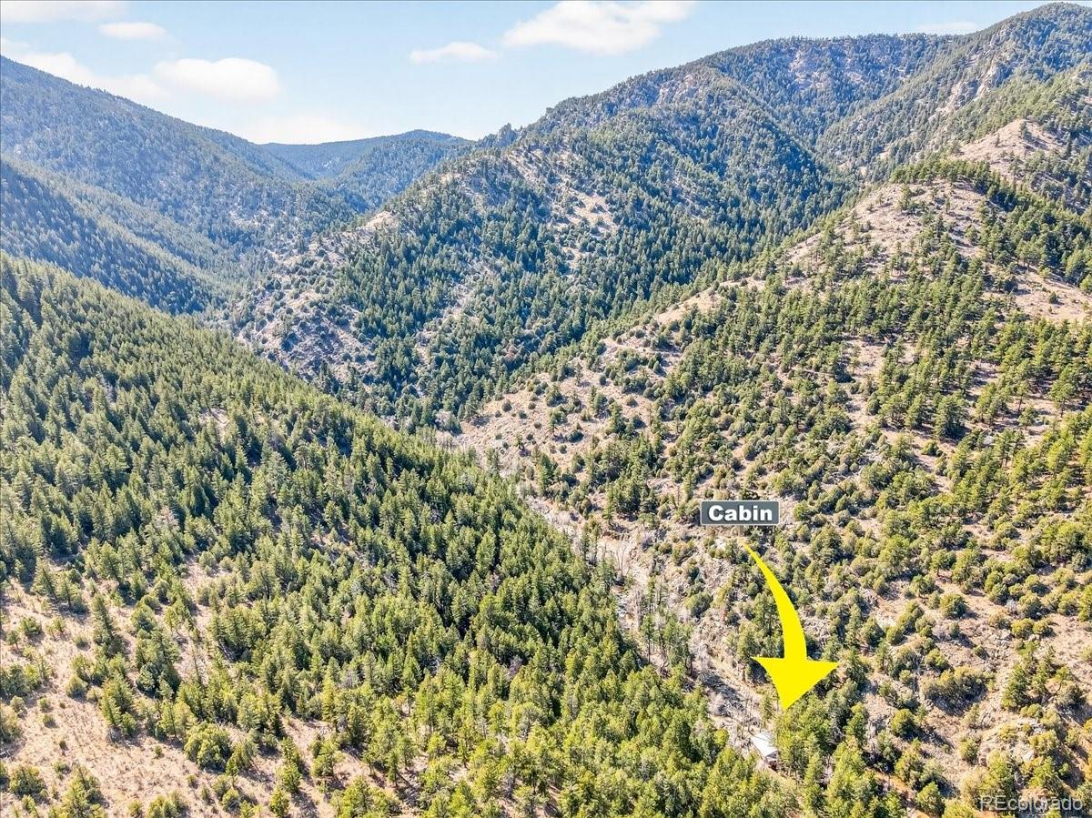 MLS Image #6 for 600  county road 102j ,jamestown, Colorado
