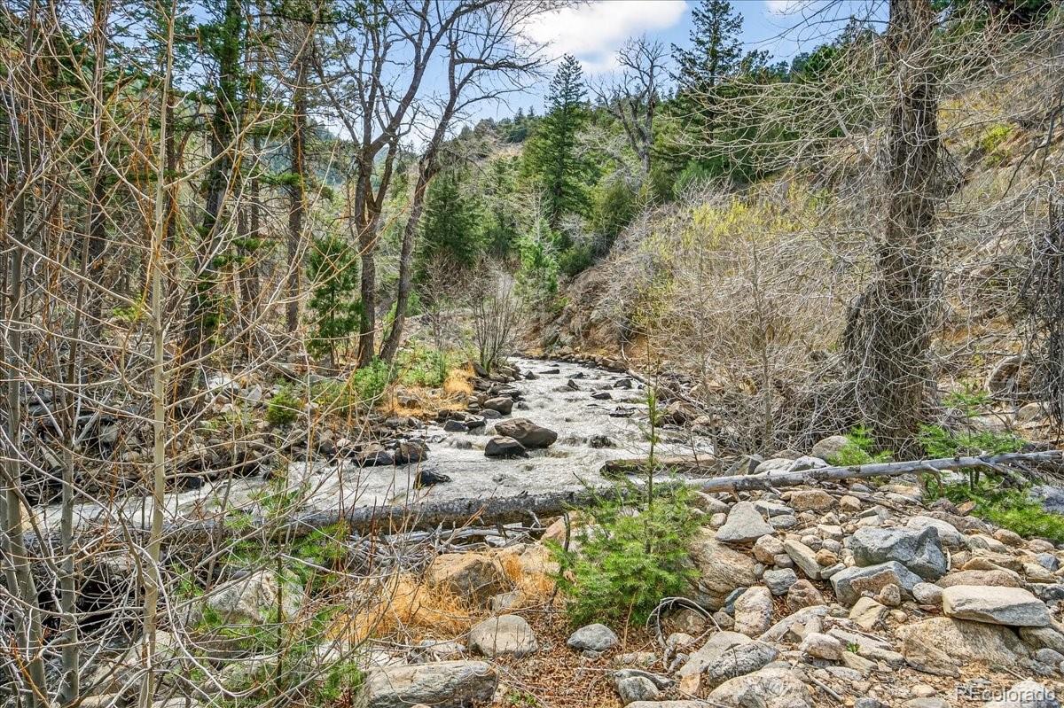 MLS Image #7 for 600  county road 102j ,jamestown, Colorado
