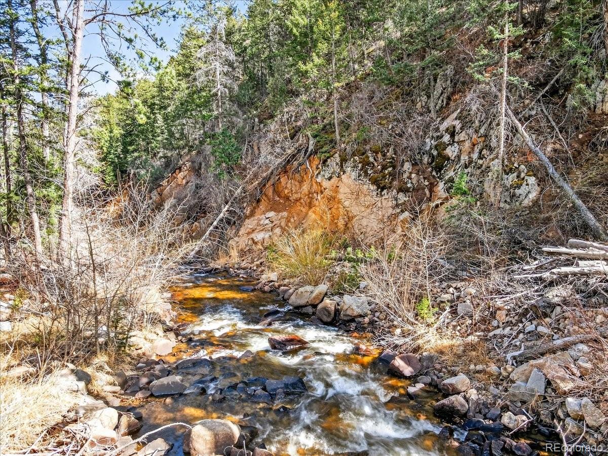 MLS Image #8 for 600  county road 102j ,jamestown, Colorado