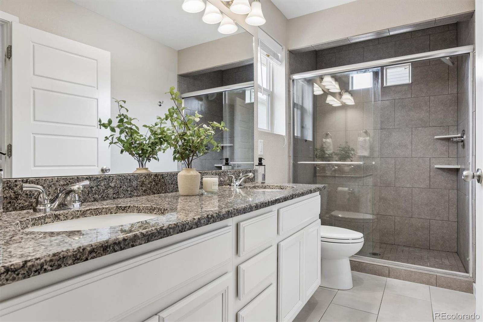 MLS Image #16 for 3712  celestial avenue,castle rock, Colorado