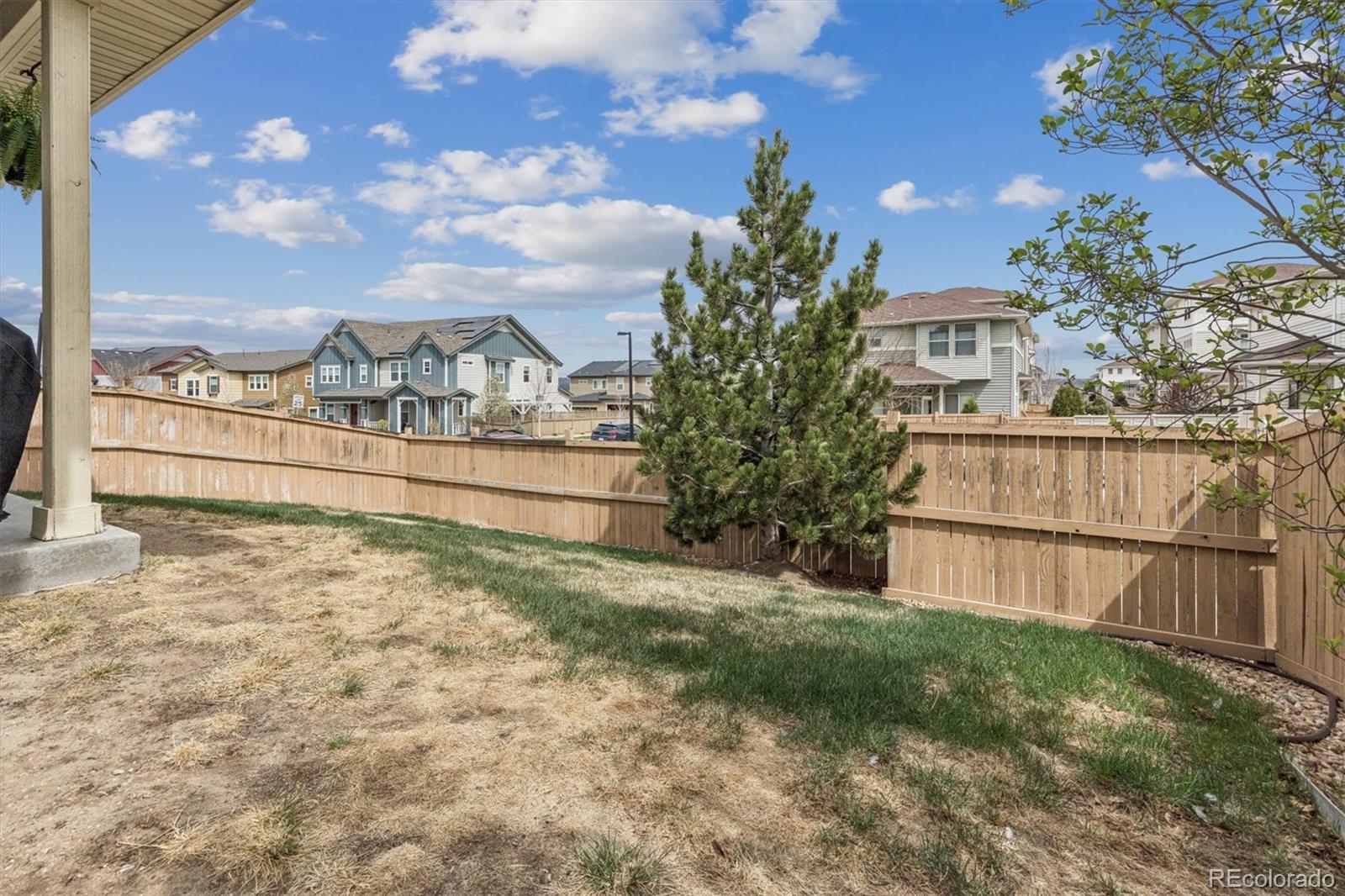 MLS Image #24 for 3712  celestial avenue,castle rock, Colorado