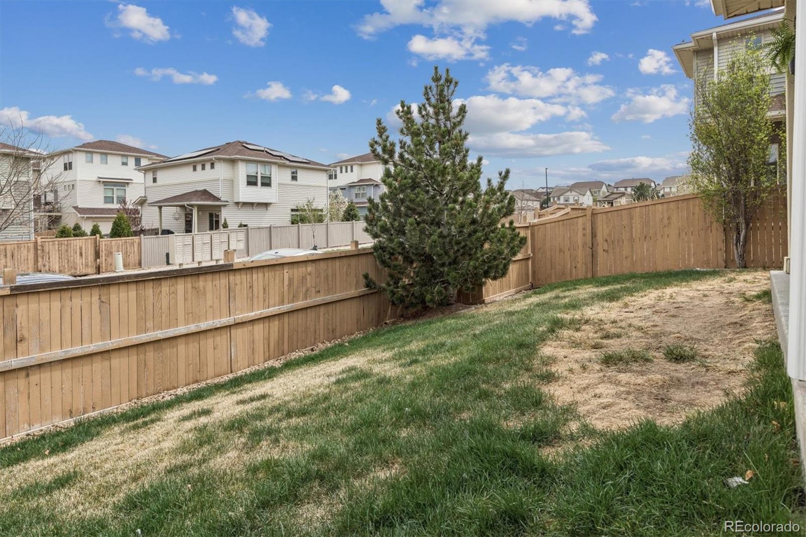 MLS Image #25 for 3712  celestial avenue,castle rock, Colorado
