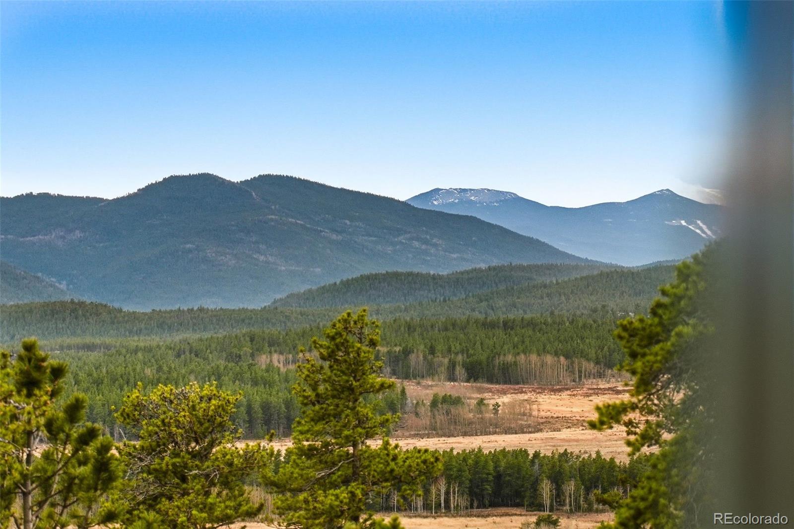 MLS Image #7 for 34618  lyttle dowdle drive,golden, Colorado