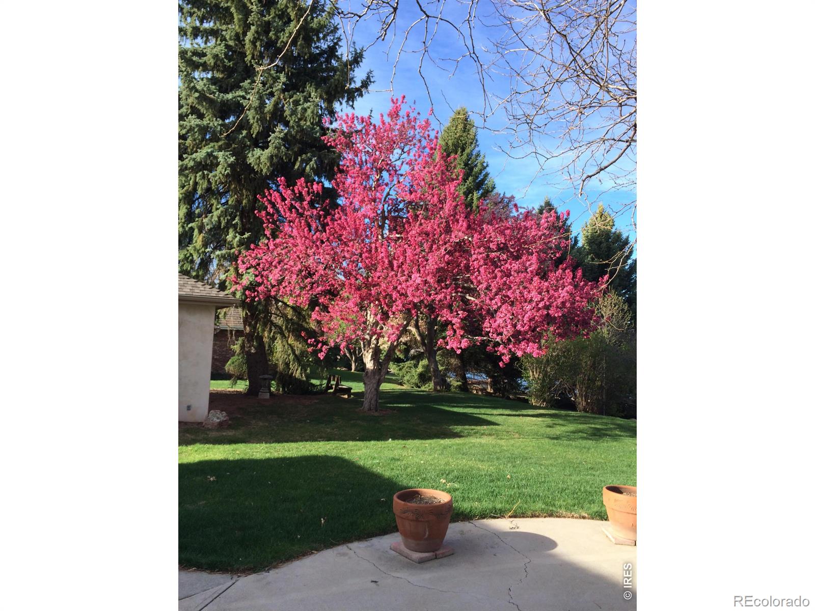 MLS Image #43 for 2401  brookwood drive,fort collins, Colorado