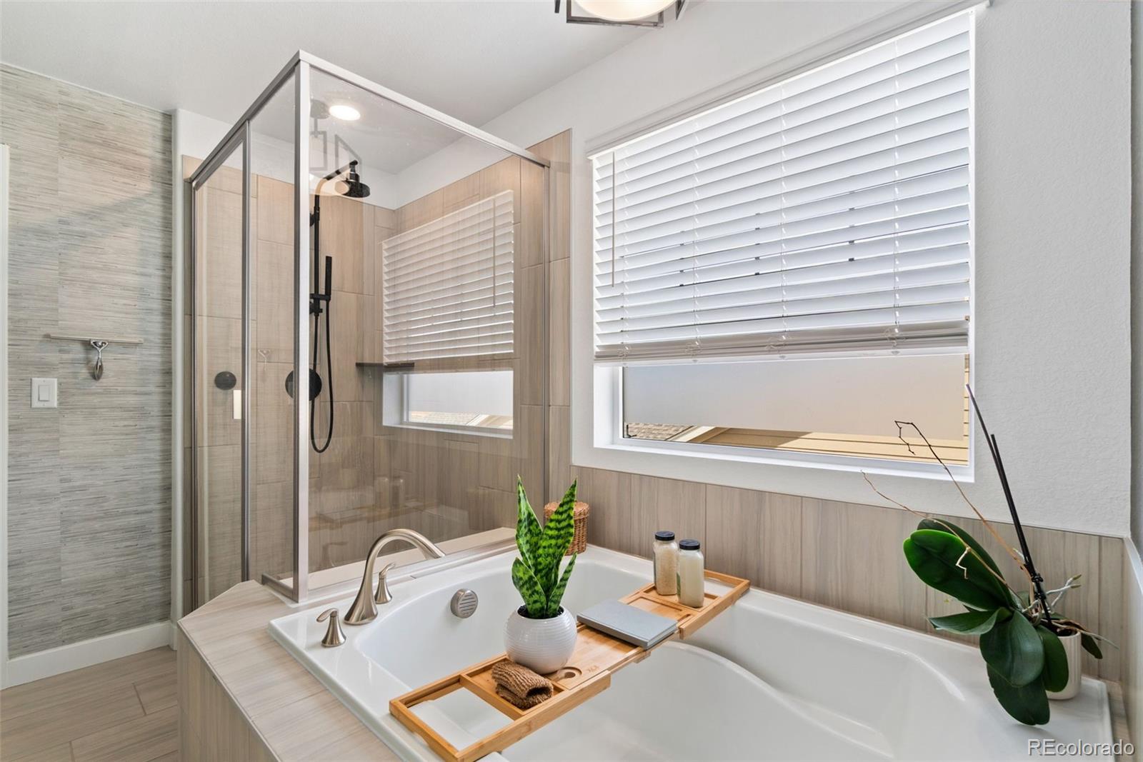 MLS Image #17 for 2995 e 160th place,thornton, Colorado