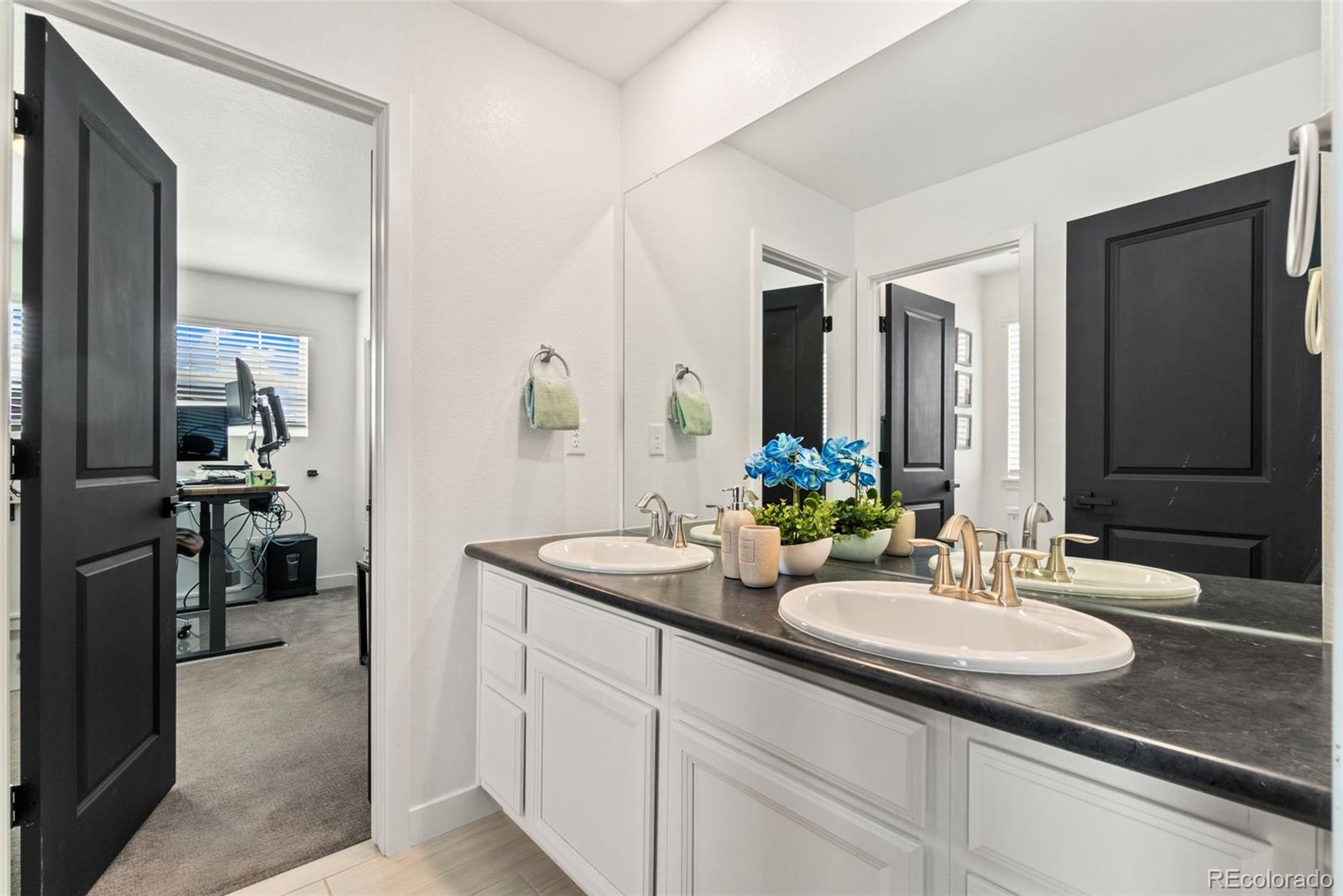 MLS Image #24 for 2995 e 160th place,thornton, Colorado
