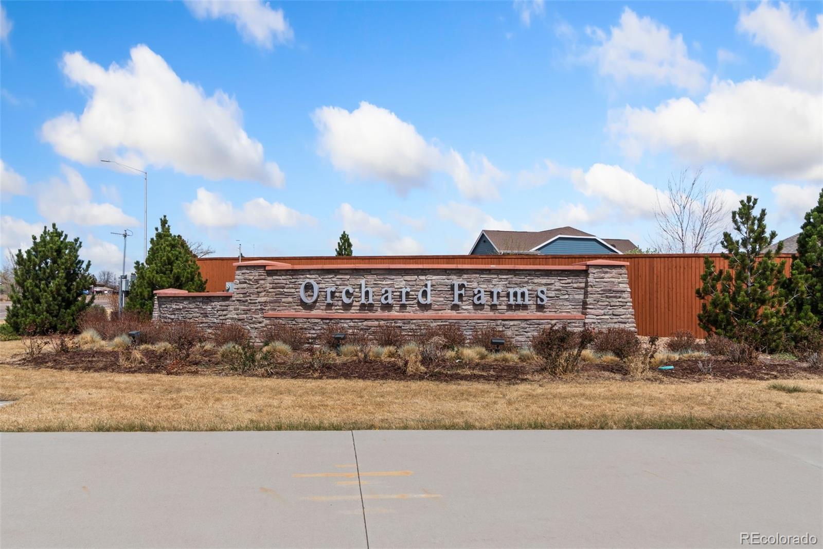MLS Image #33 for 2995 e 160th place,thornton, Colorado