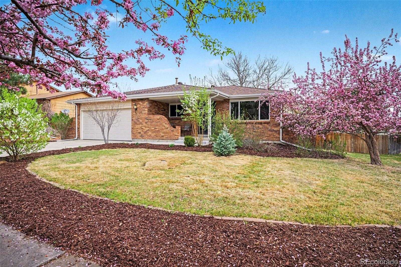 MLS Image #1 for 811  altair drive,littleton, Colorado