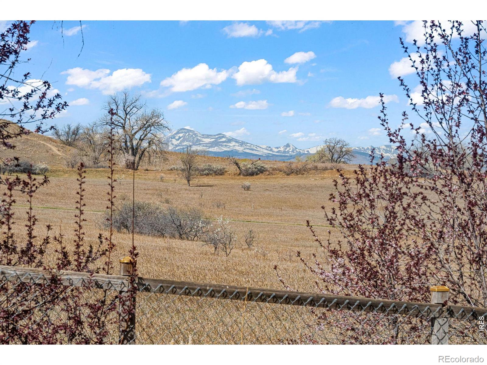 MLS Image #25 for 2225  cliffrose lane,louisville, Colorado