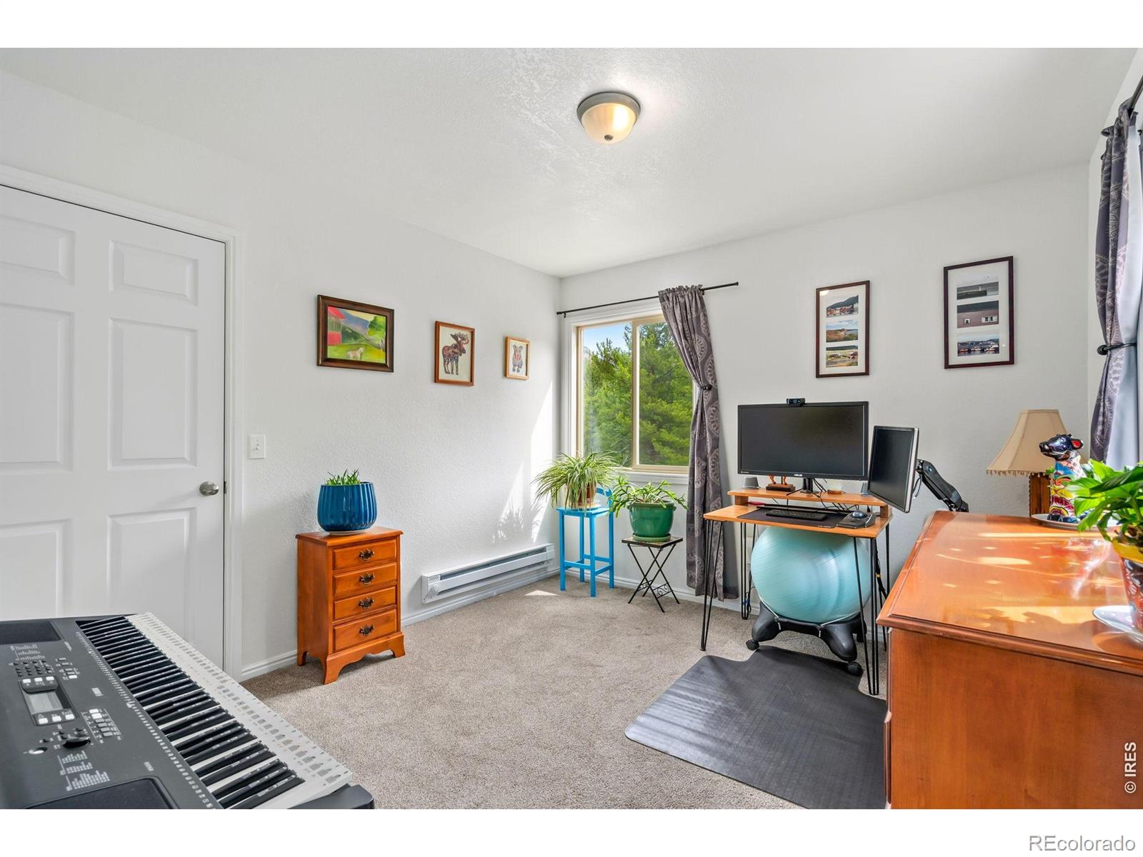 MLS Image #10 for 236  mescalero drive,red feather lakes, Colorado