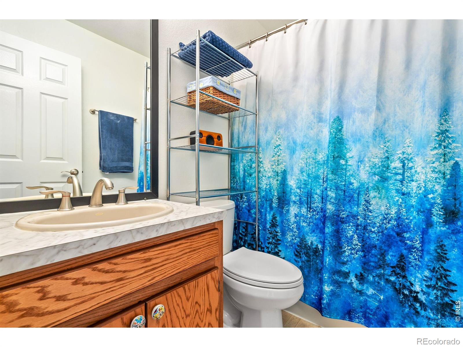 MLS Image #11 for 236  mescalero drive,red feather lakes, Colorado