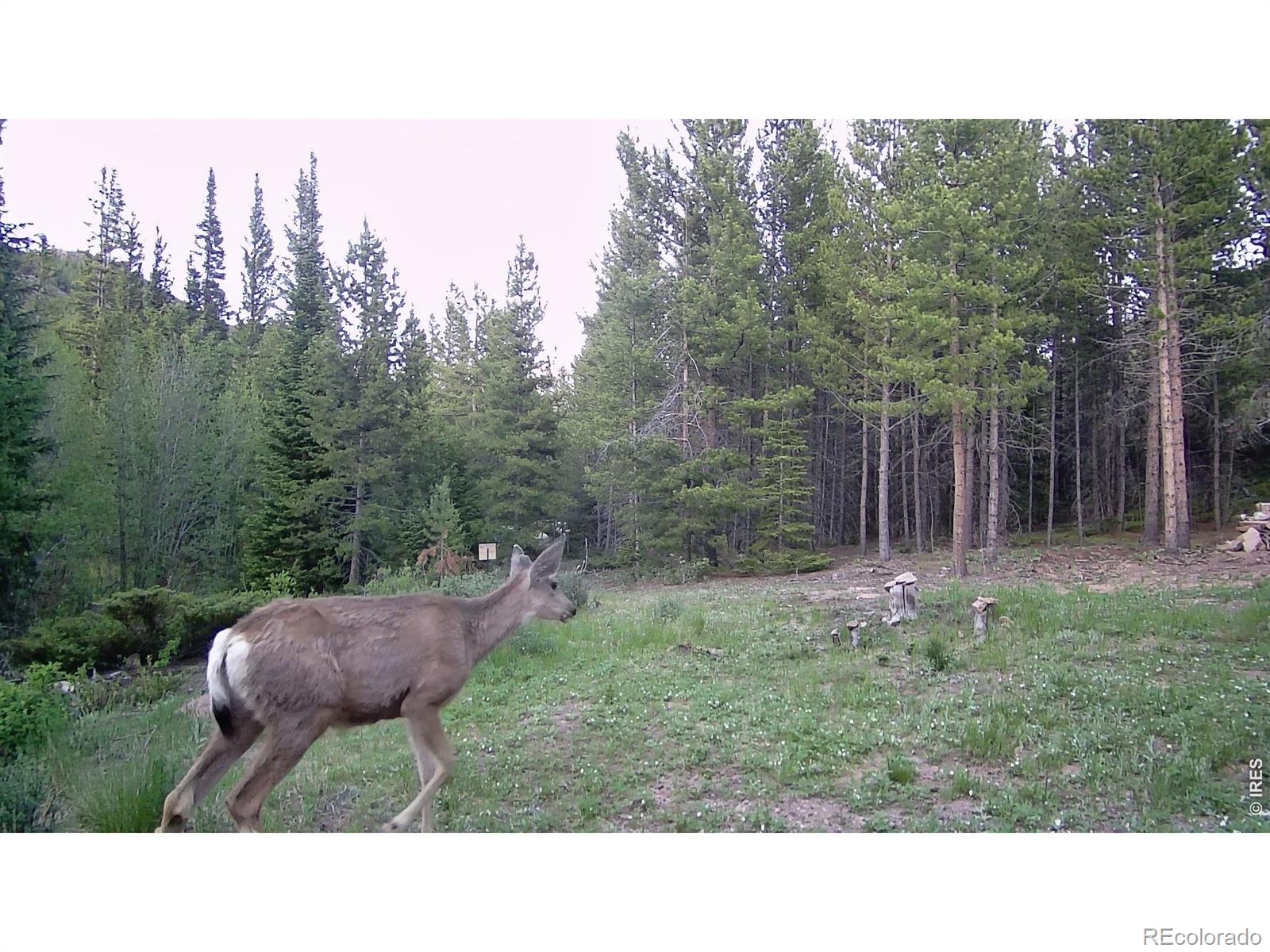 MLS Image #37 for 236  mescalero drive,red feather lakes, Colorado