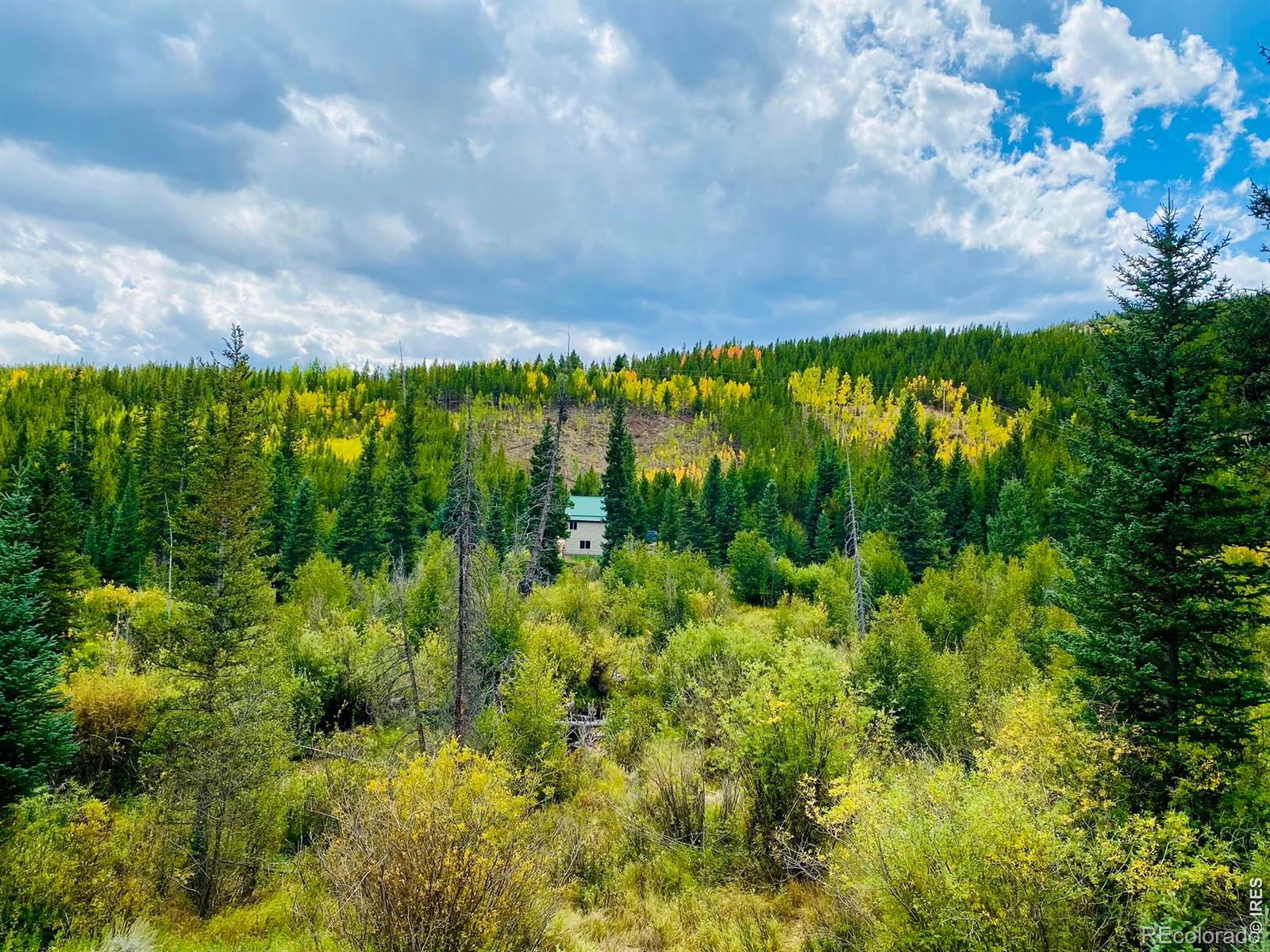 MLS Image #38 for 236  mescalero drive,red feather lakes, Colorado