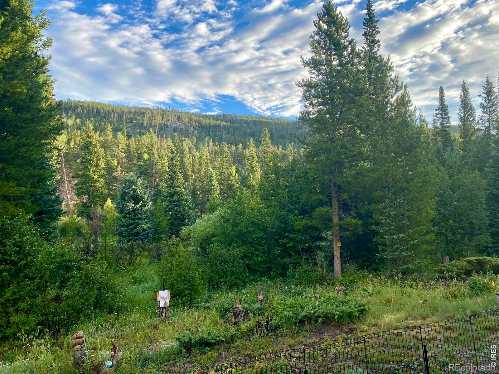 MLS Image #39 for 236  mescalero drive,red feather lakes, Colorado
