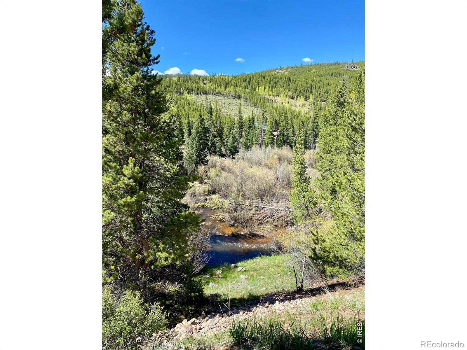 MLS Image #40 for 236  mescalero drive,red feather lakes, Colorado