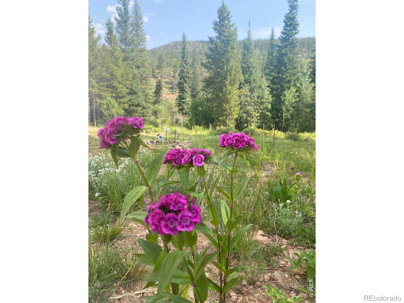 MLS Image #49 for 236  mescalero drive,red feather lakes, Colorado
