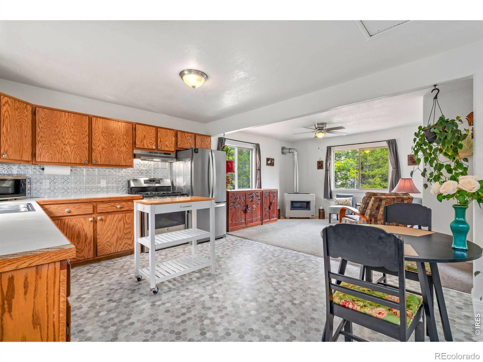 MLS Image #7 for 236  mescalero drive,red feather lakes, Colorado