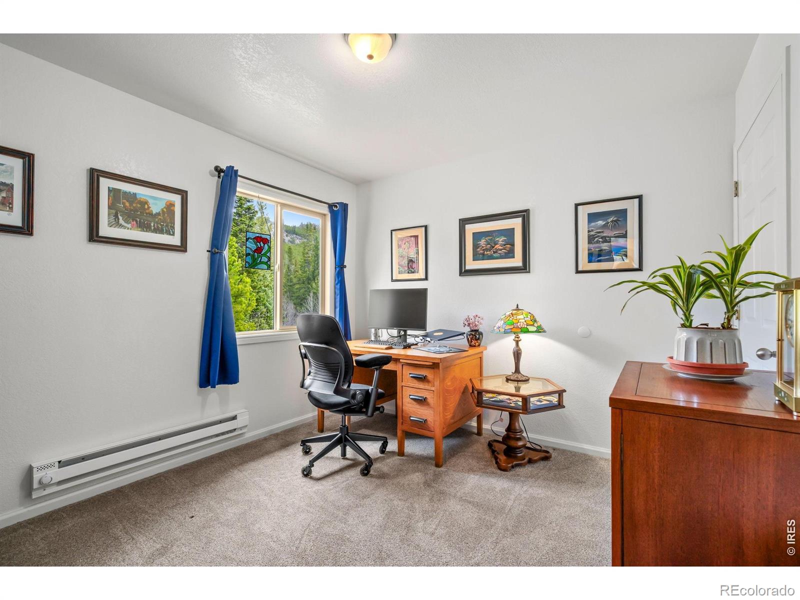 MLS Image #9 for 236  mescalero drive,red feather lakes, Colorado