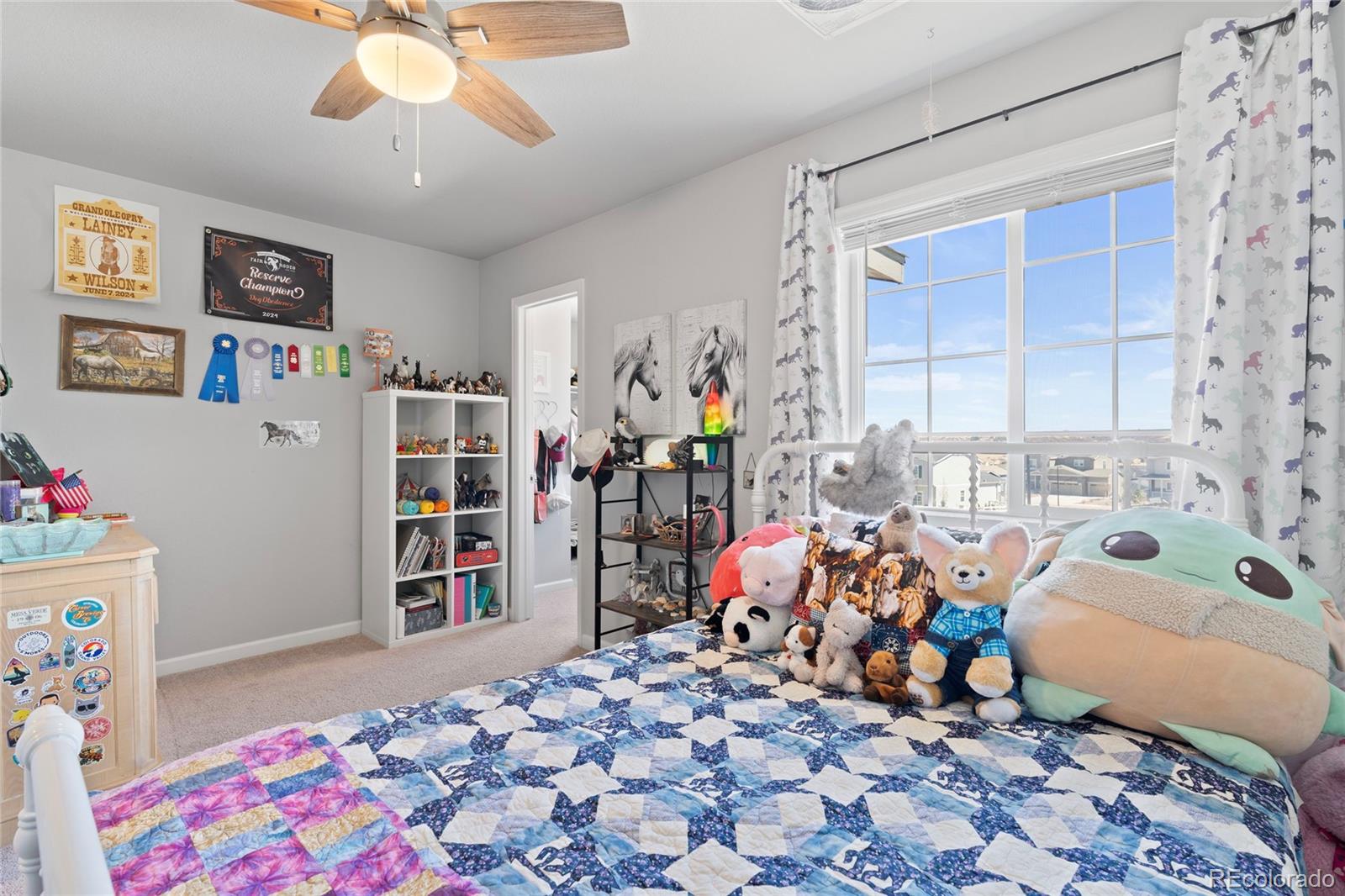 MLS Image #31 for 5285  blue lunar lane,castle rock, Colorado