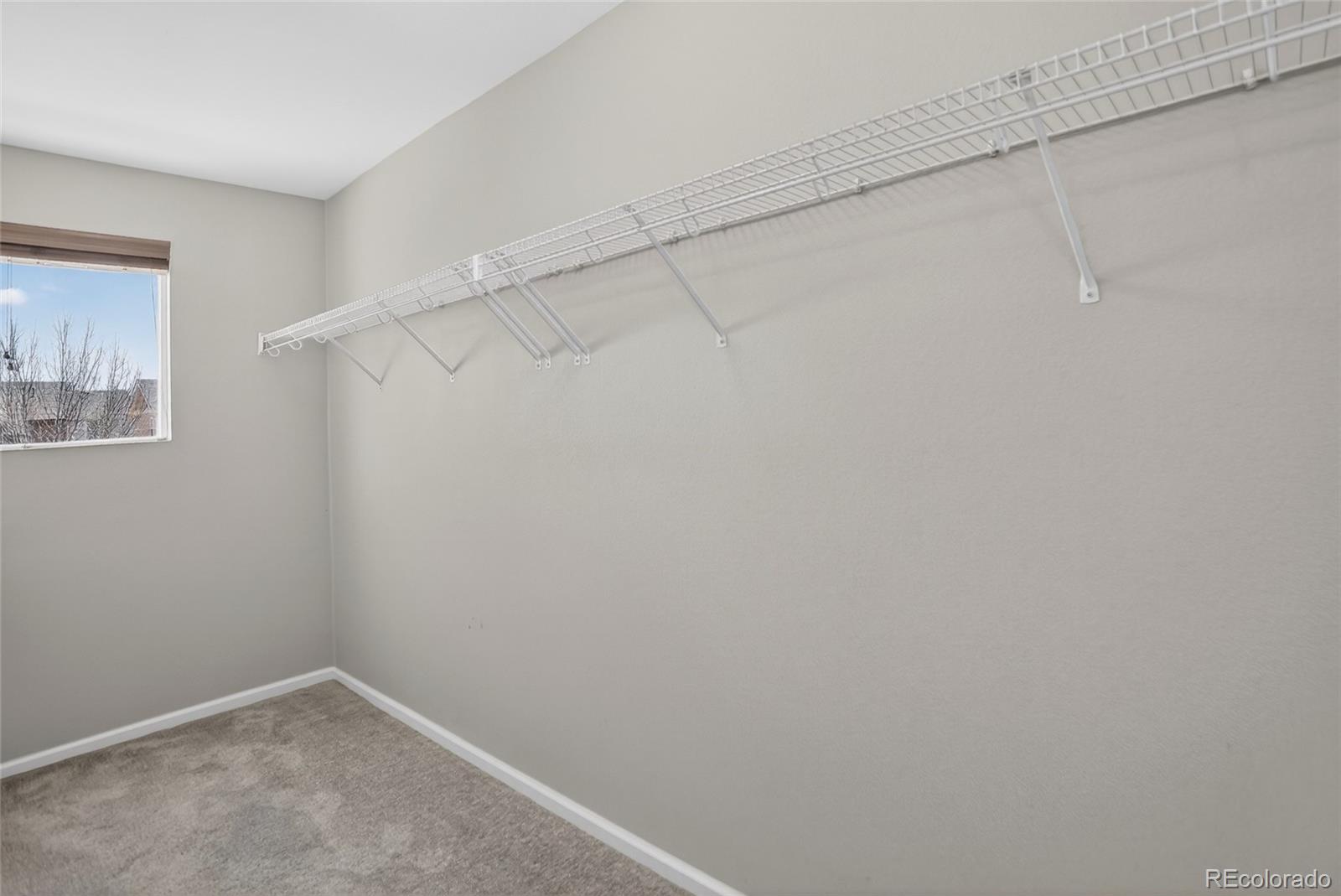 MLS Image #7 for 10671  upper ridge road,longmont, Colorado