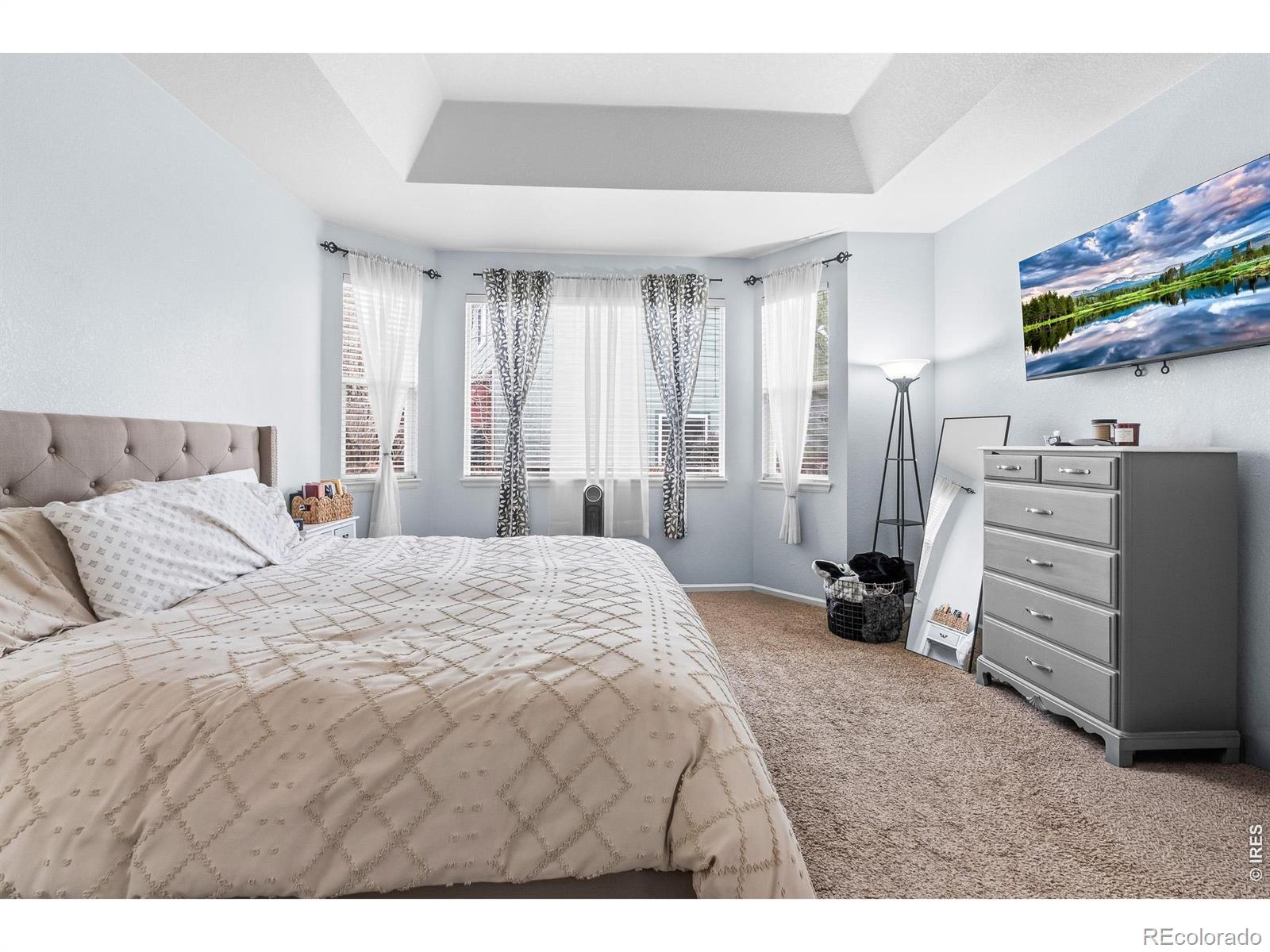 MLS Image #21 for 1710  polo way,longmont, Colorado