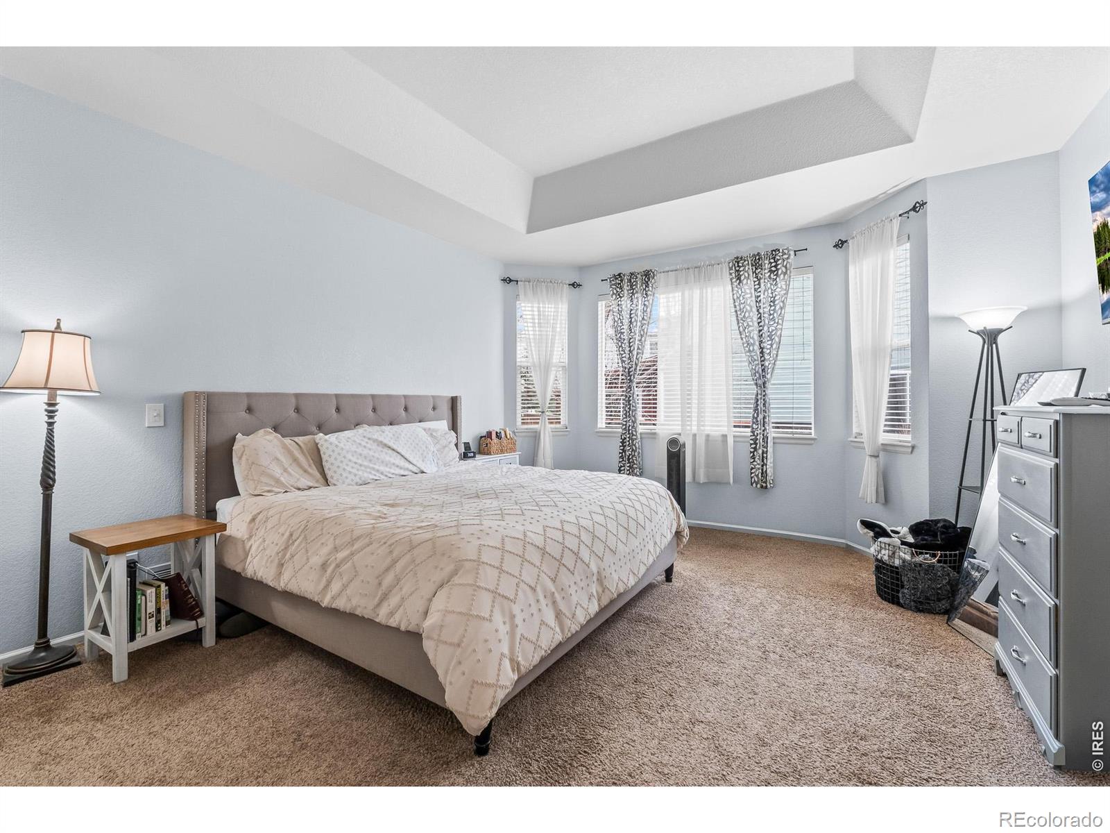 MLS Image #22 for 1710  polo way,longmont, Colorado