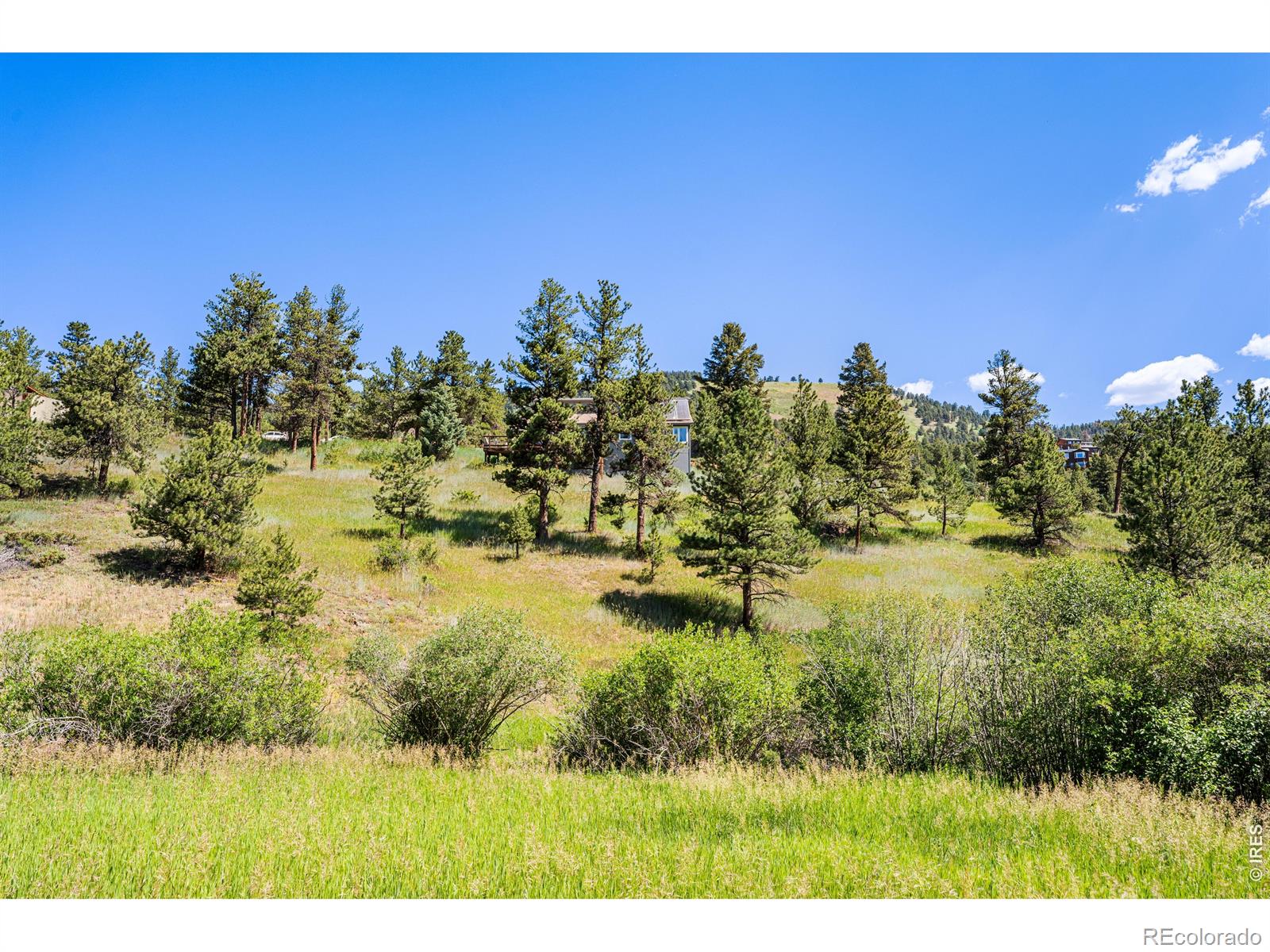 MLS Image #11 for 1213  primos road,boulder, Colorado