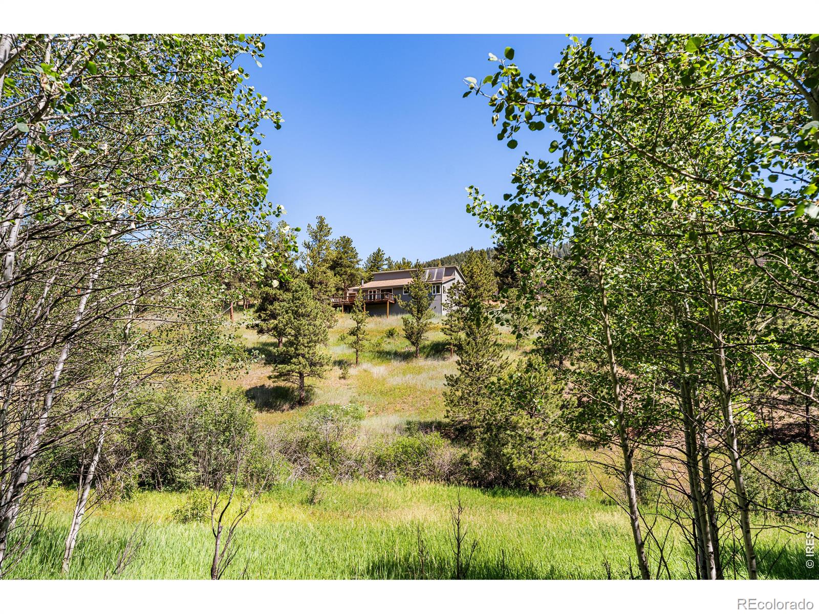 MLS Image #12 for 1213  primos road,boulder, Colorado