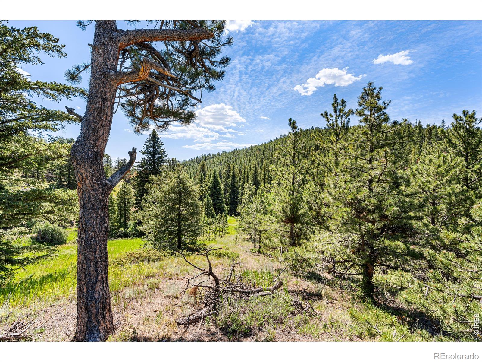 MLS Image #13 for 1213  primos road,boulder, Colorado