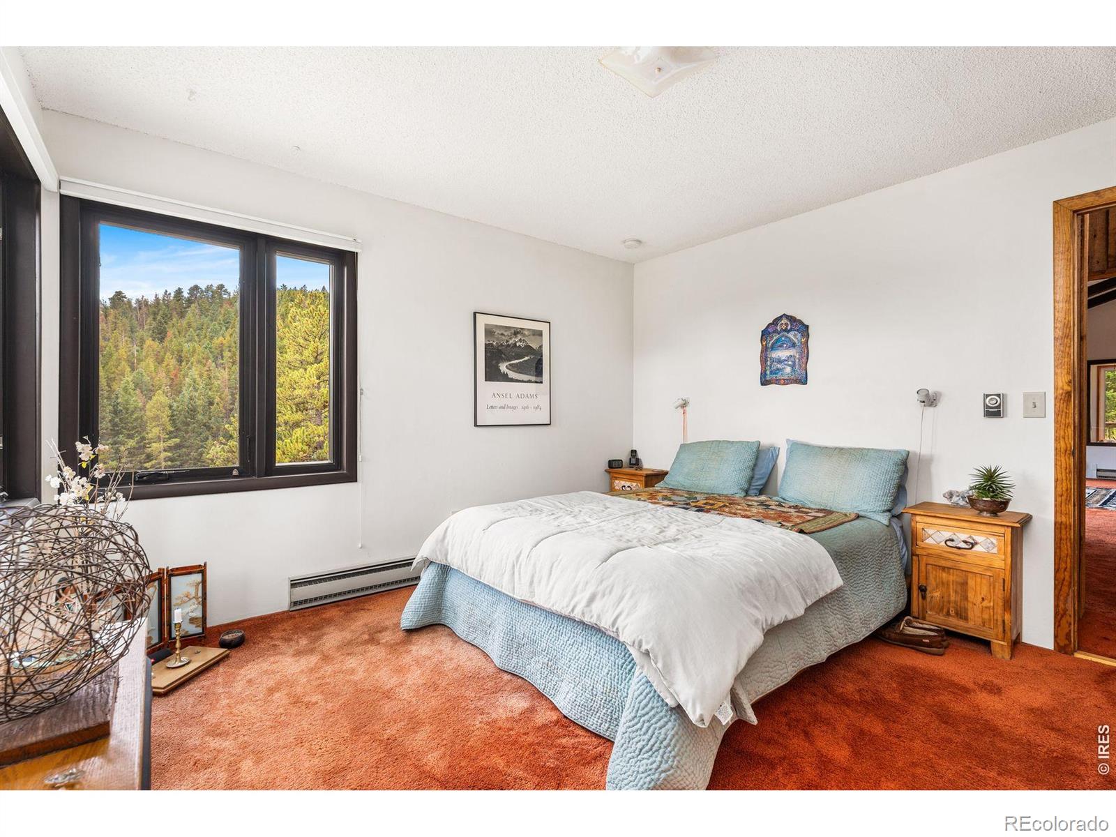 MLS Image #21 for 1213  primos road,boulder, Colorado