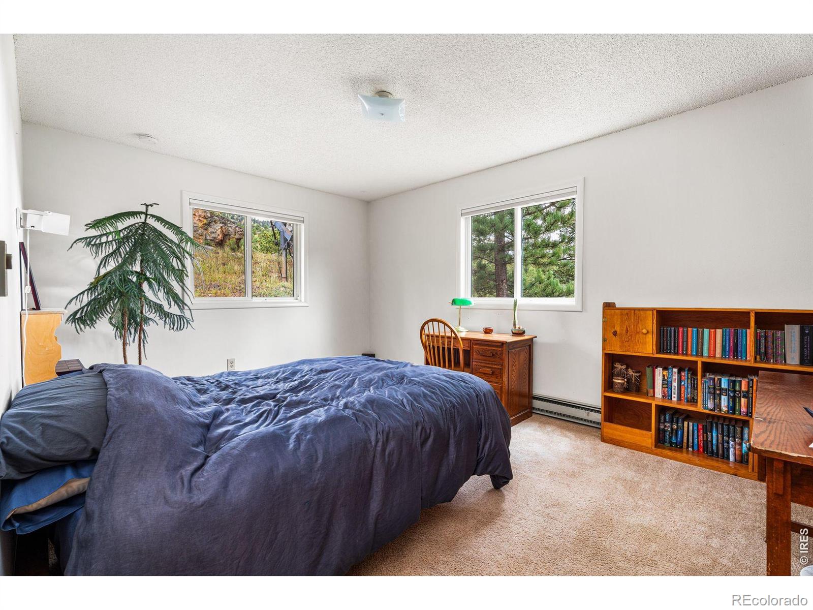 MLS Image #23 for 1213  primos road,boulder, Colorado