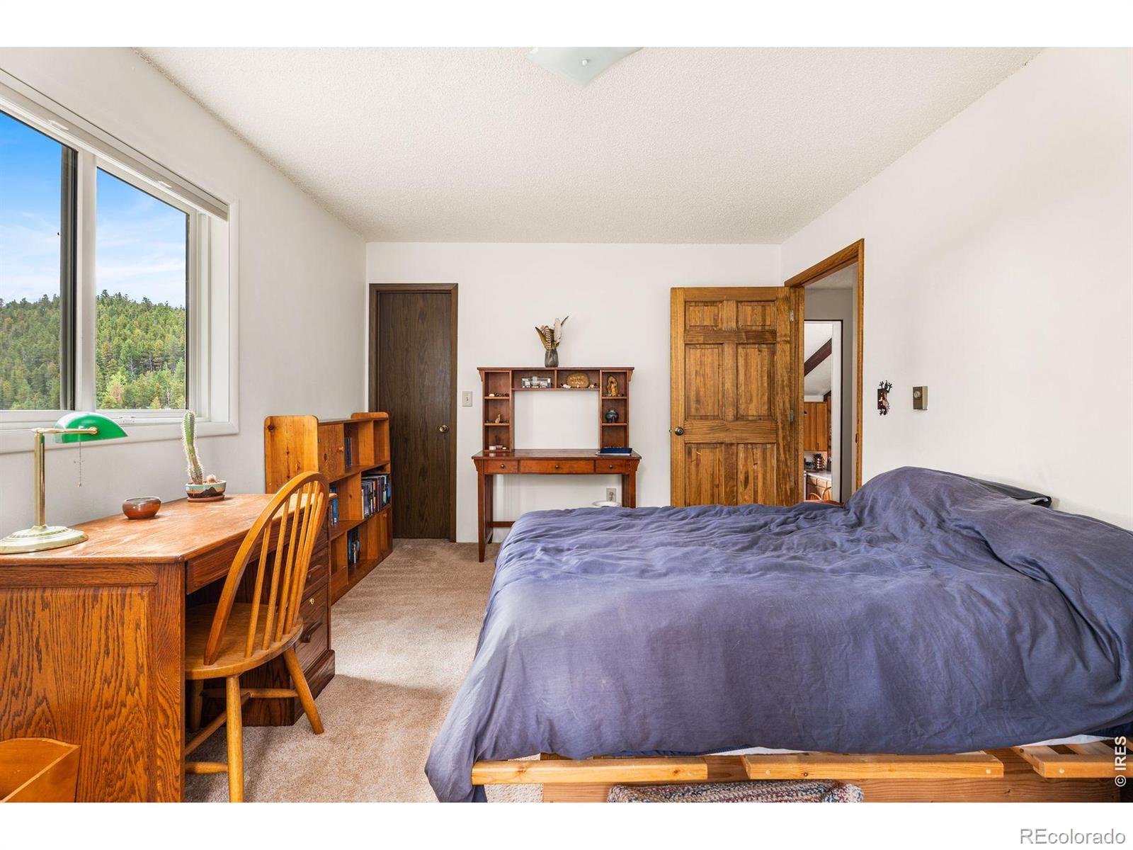 MLS Image #24 for 1213  primos road,boulder, Colorado