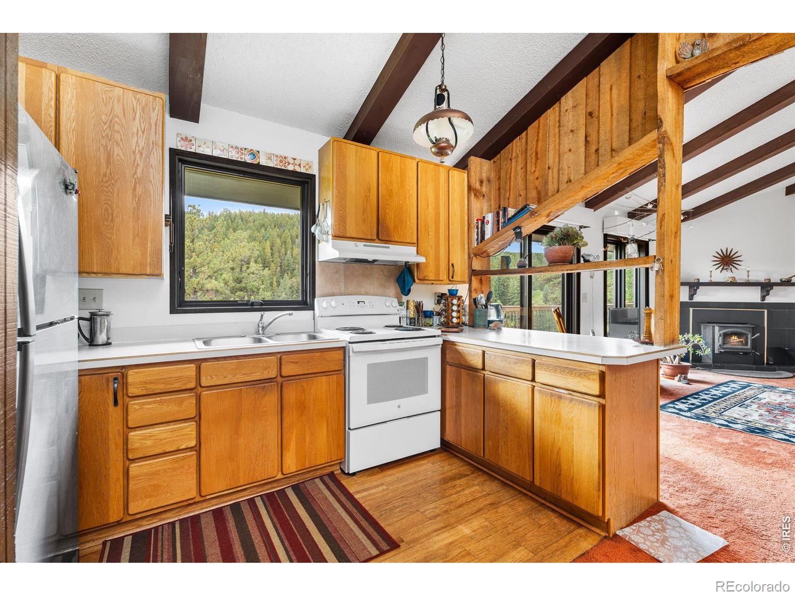 MLS Image #28 for 1213  primos road,boulder, Colorado