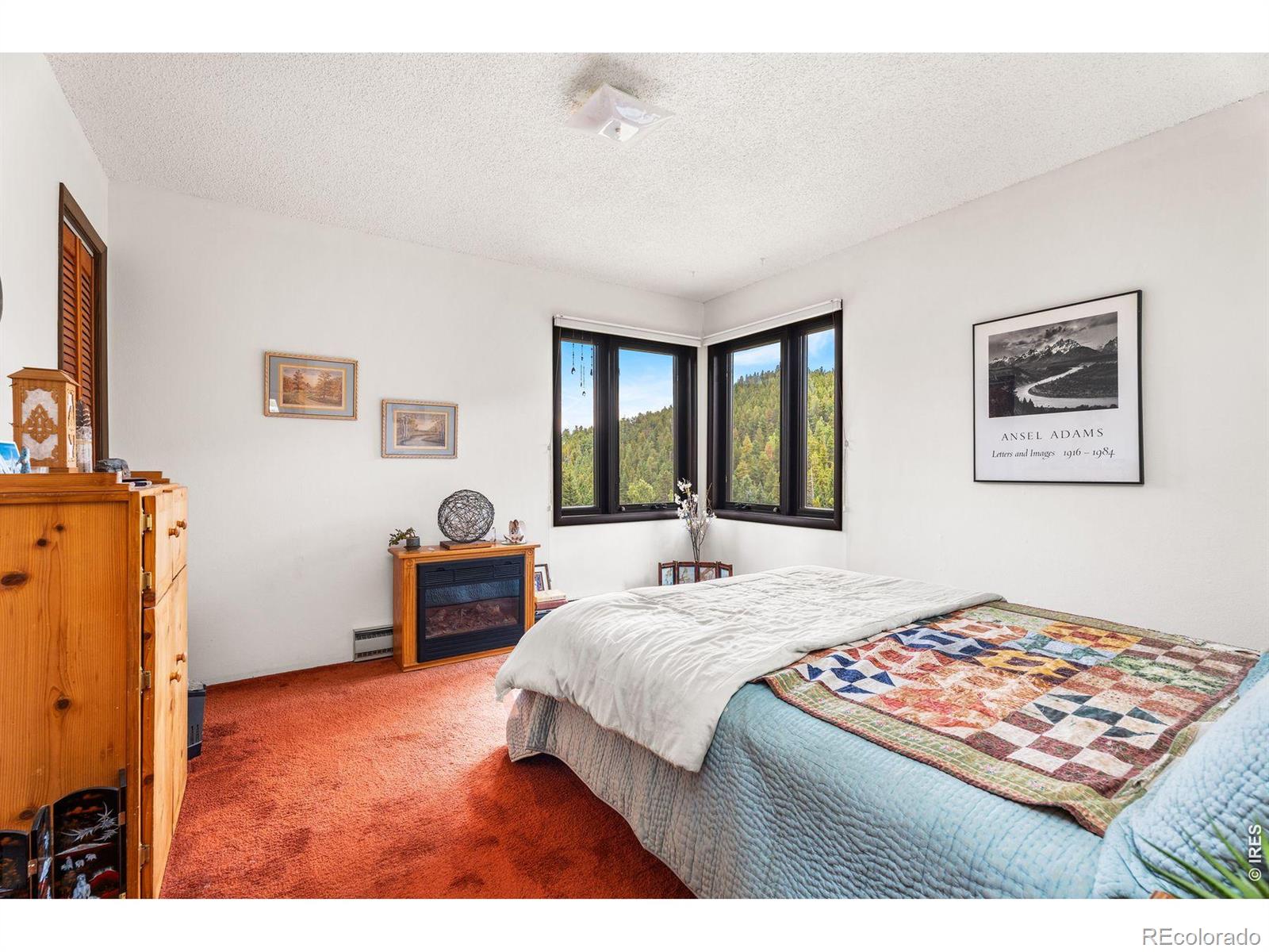 MLS Image #8 for 1213  primos road,boulder, Colorado