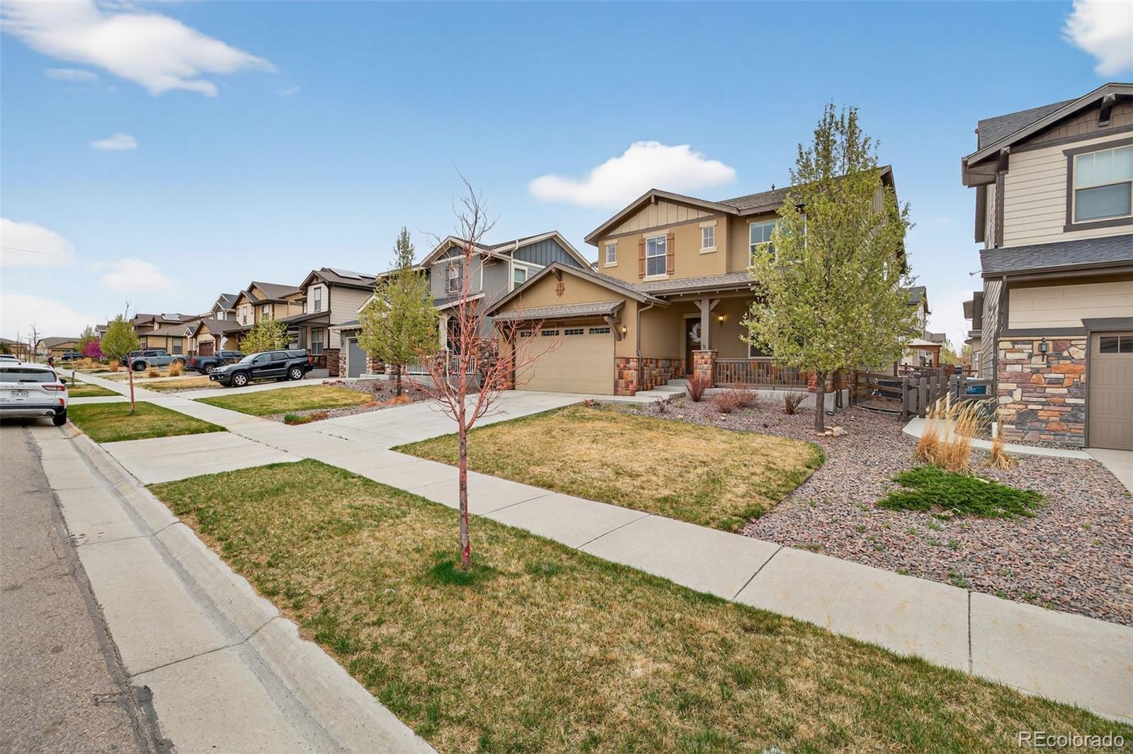 MLS Image #42 for 8818  gore street,arvada, Colorado
