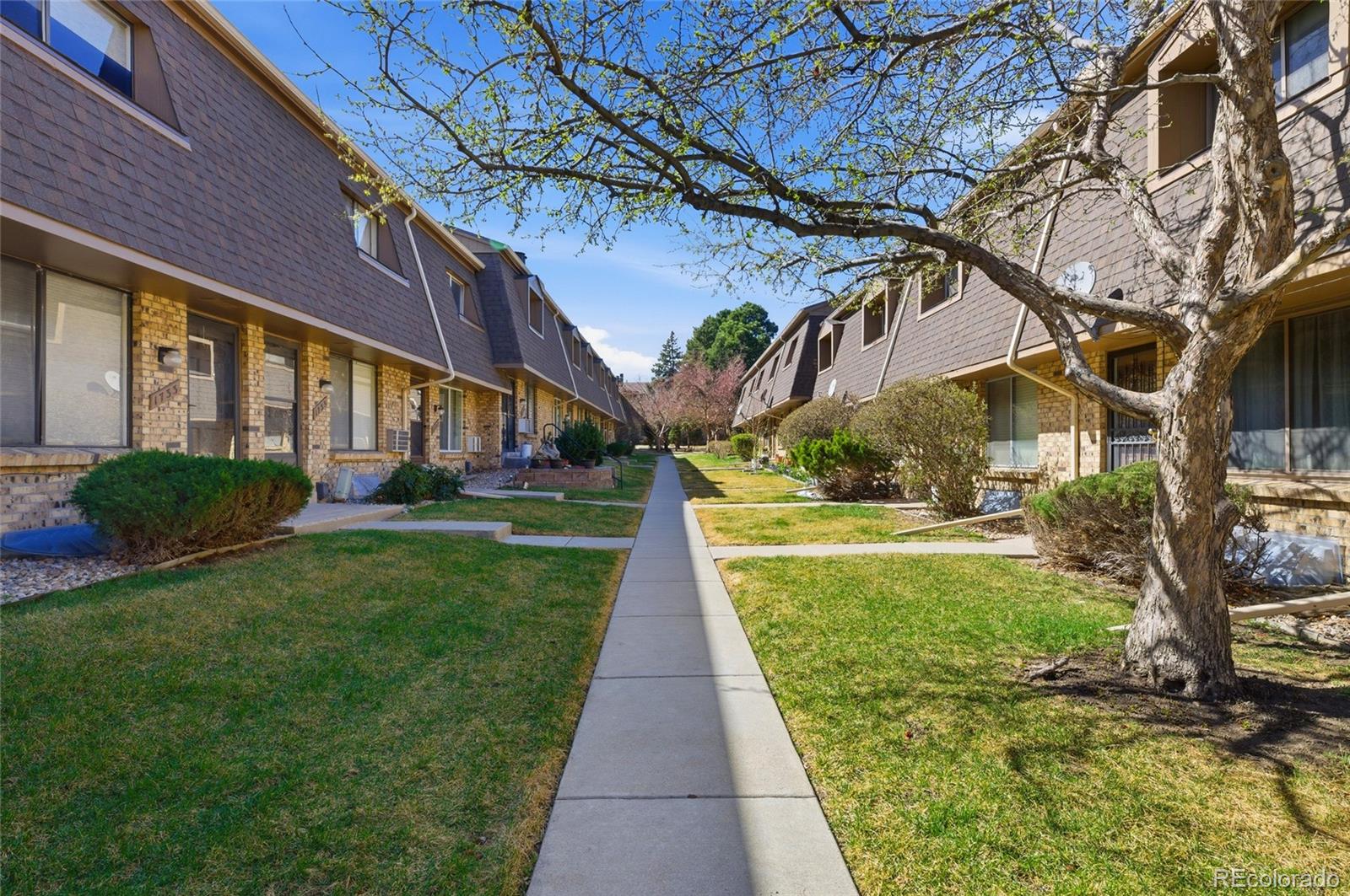 MLS Image #1 for 1775  quail street,lakewood, Colorado