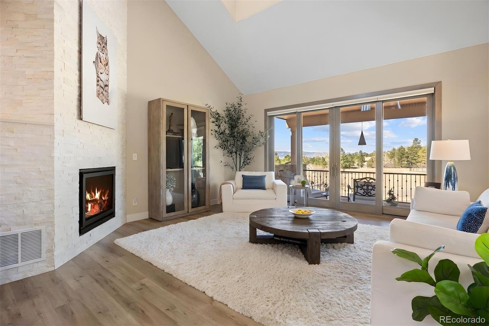 MLS Image #10 for 5301  richmond hill court,castle rock, Colorado