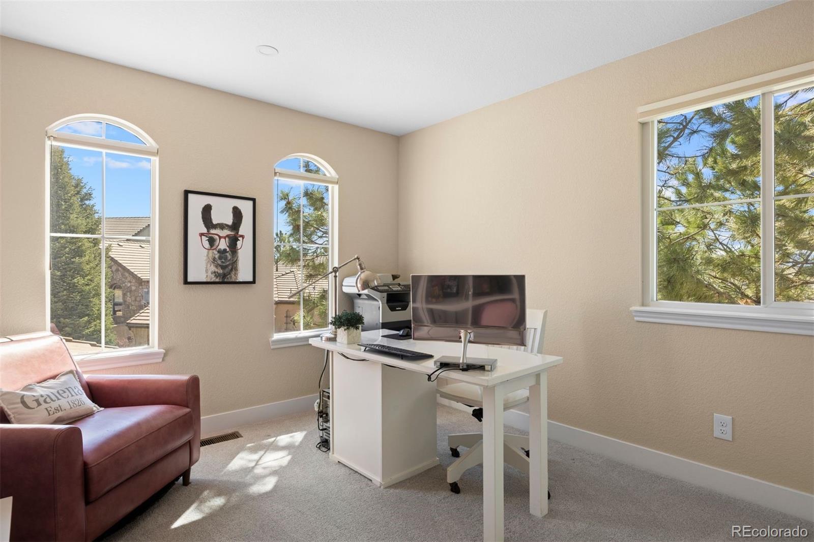 MLS Image #31 for 5301  richmond hill court,castle rock, Colorado