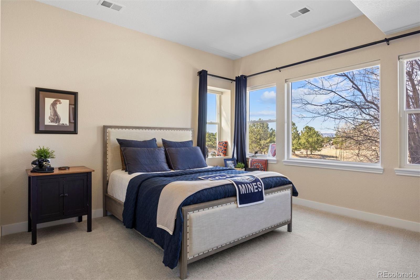 MLS Image #35 for 5301  richmond hill court,castle rock, Colorado
