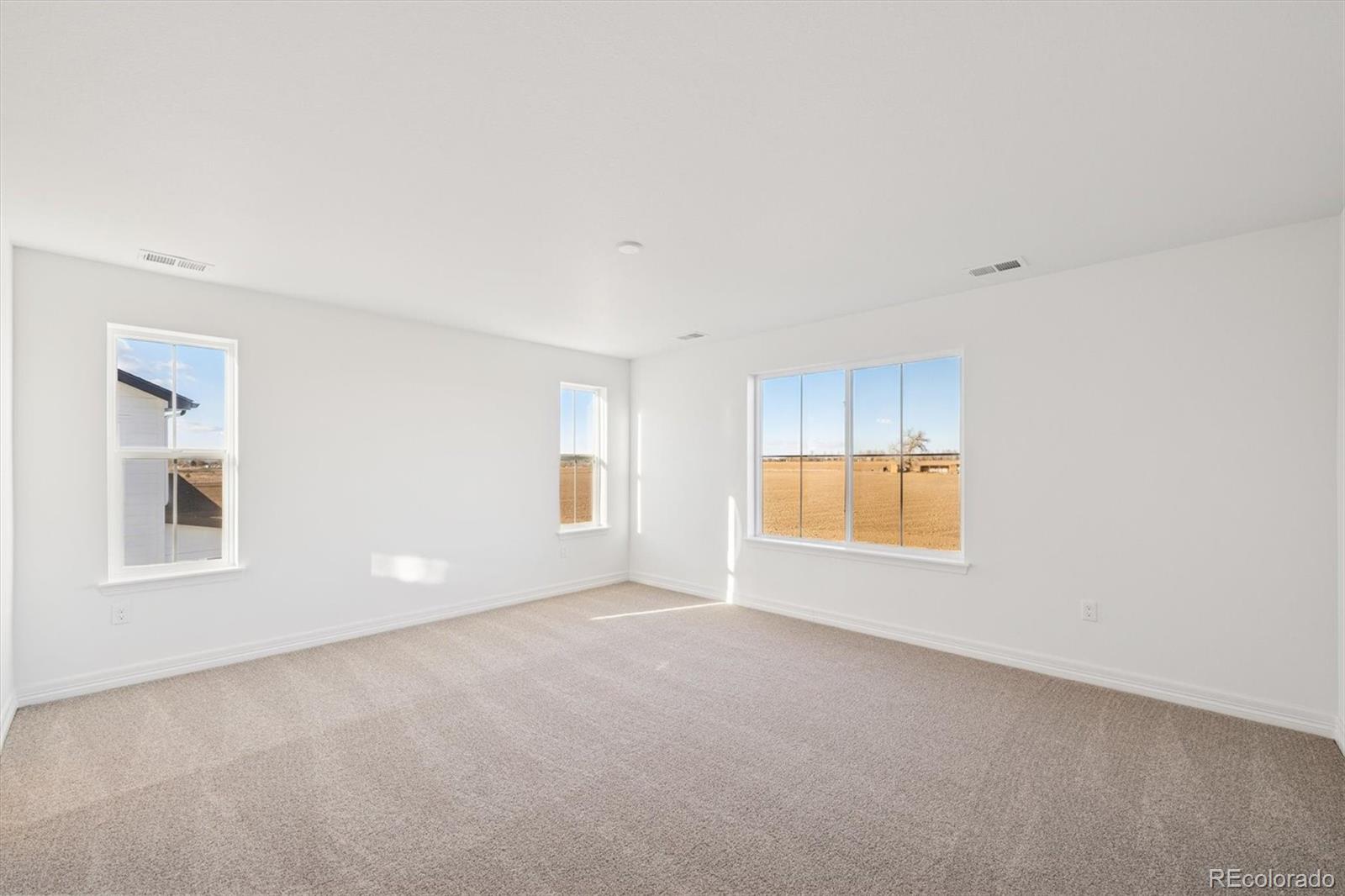 MLS Image #14 for 6126  oban road,timnath, Colorado