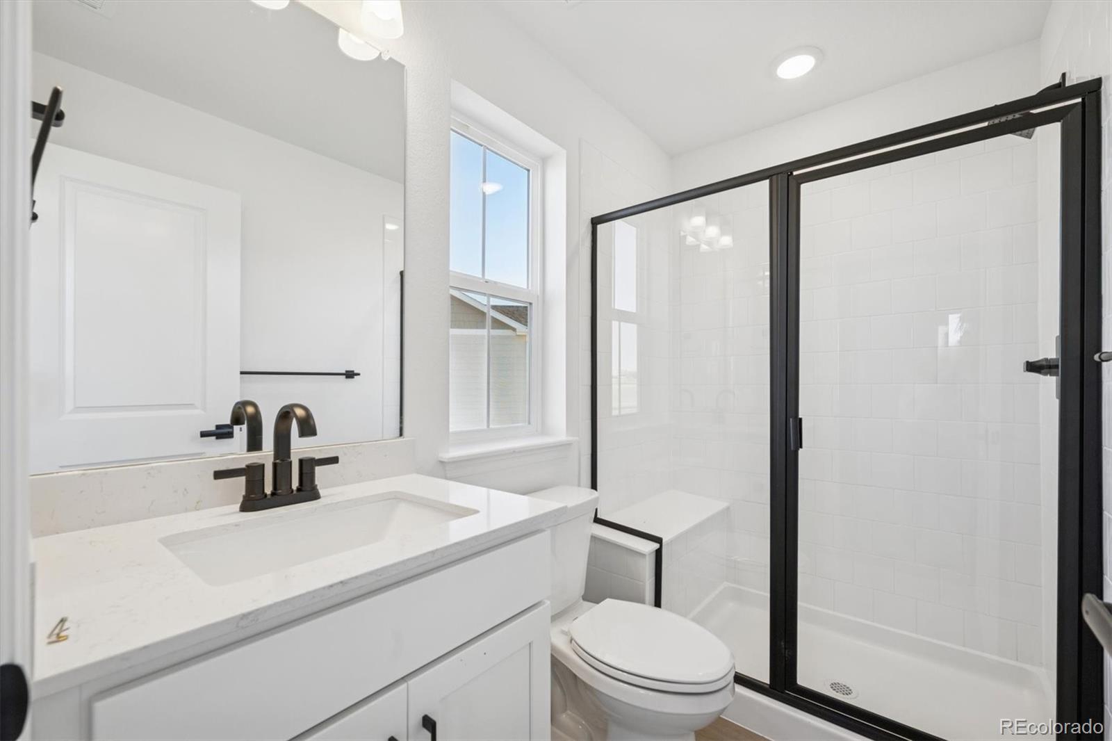 MLS Image #18 for 6126  oban road,timnath, Colorado