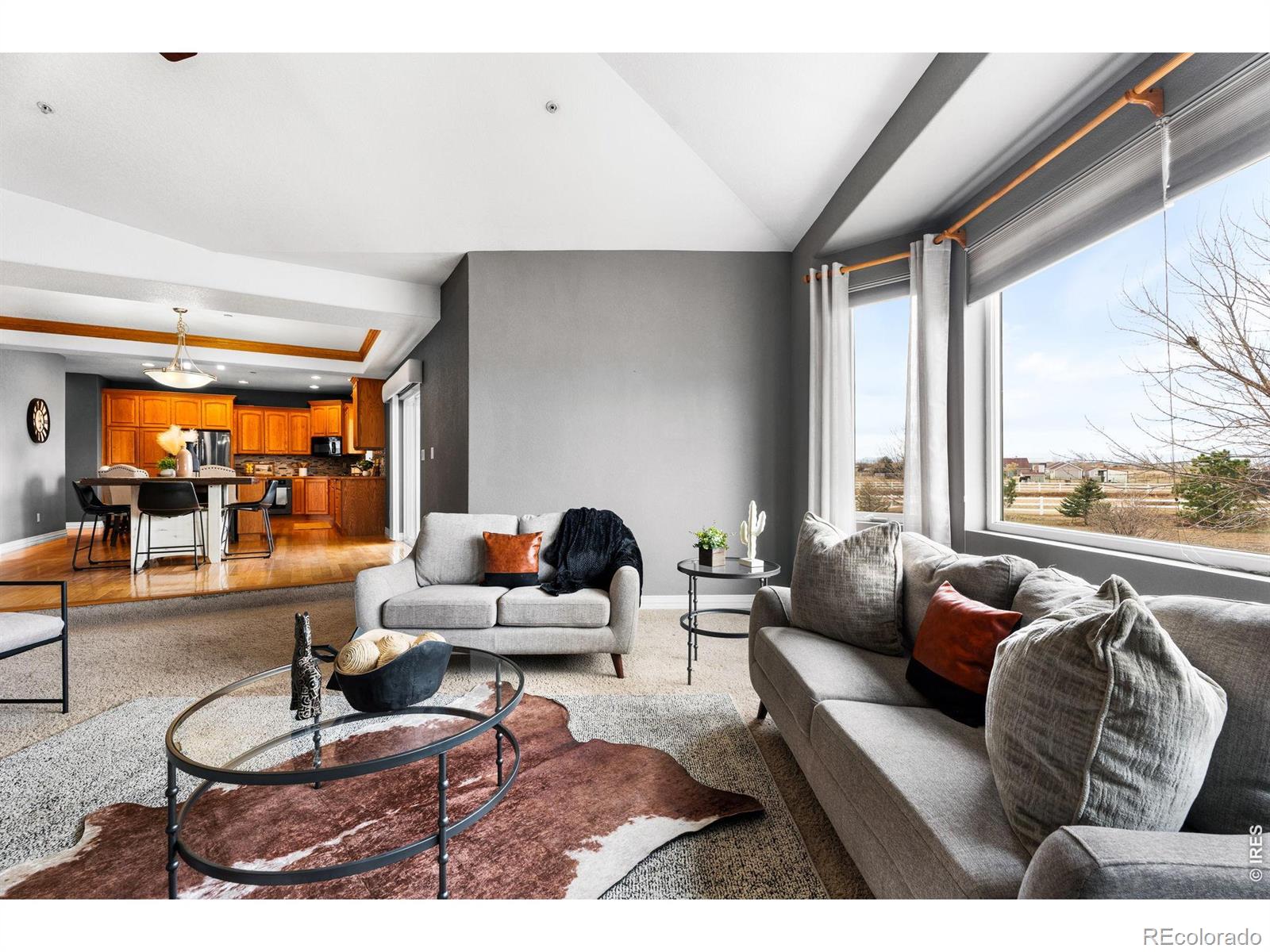 MLS Image #14 for 3175 e 165th avenue,brighton, Colorado