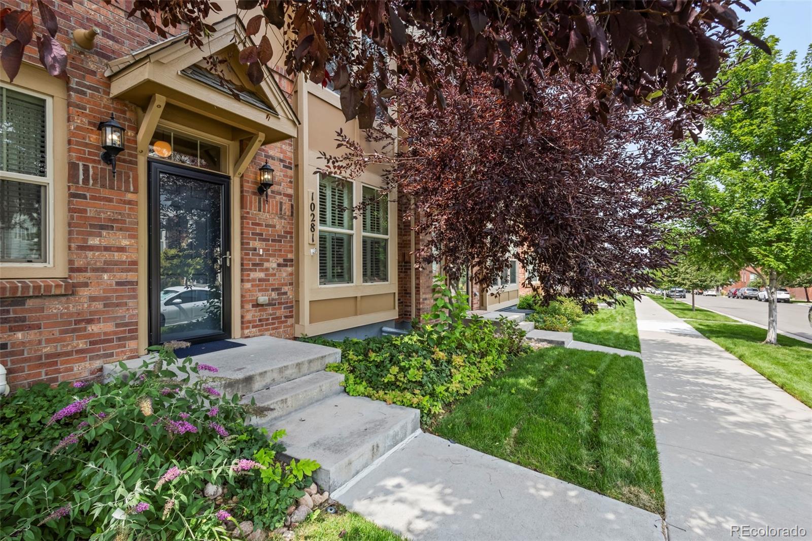 MLS Image #3 for 10281  bellwether lane,lone tree, Colorado