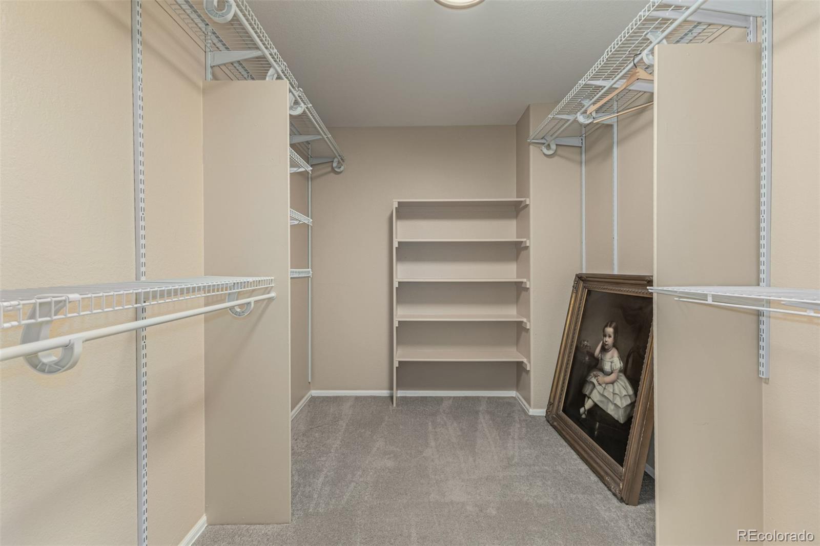 MLS Image #20 for 1026  switch grass drive,castle rock, Colorado