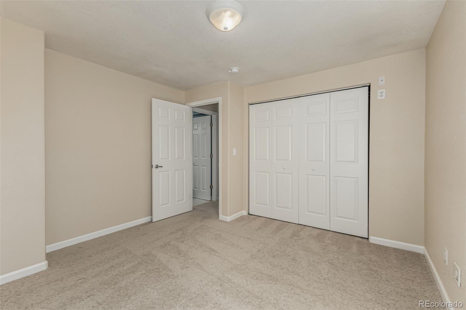 MLS Image #28 for 1026  switch grass drive,castle rock, Colorado