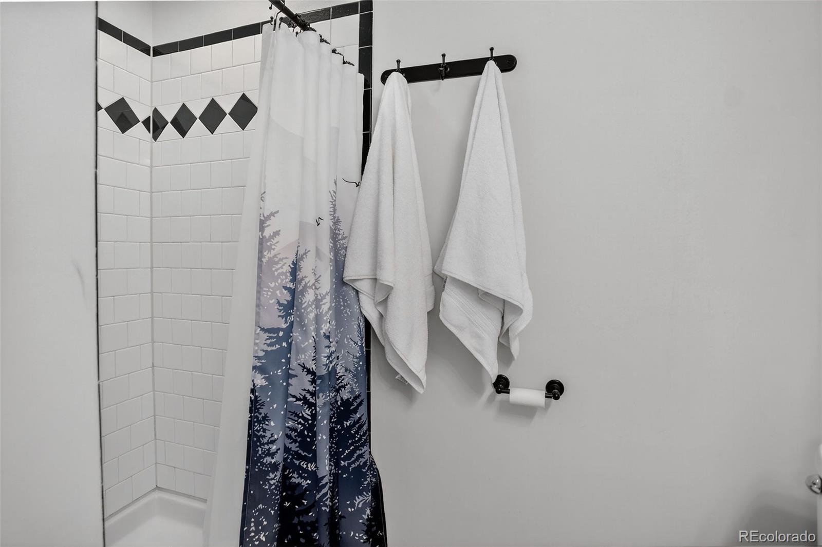 MLS Image #17 for 417 w columbine avenue,woodland park, Colorado