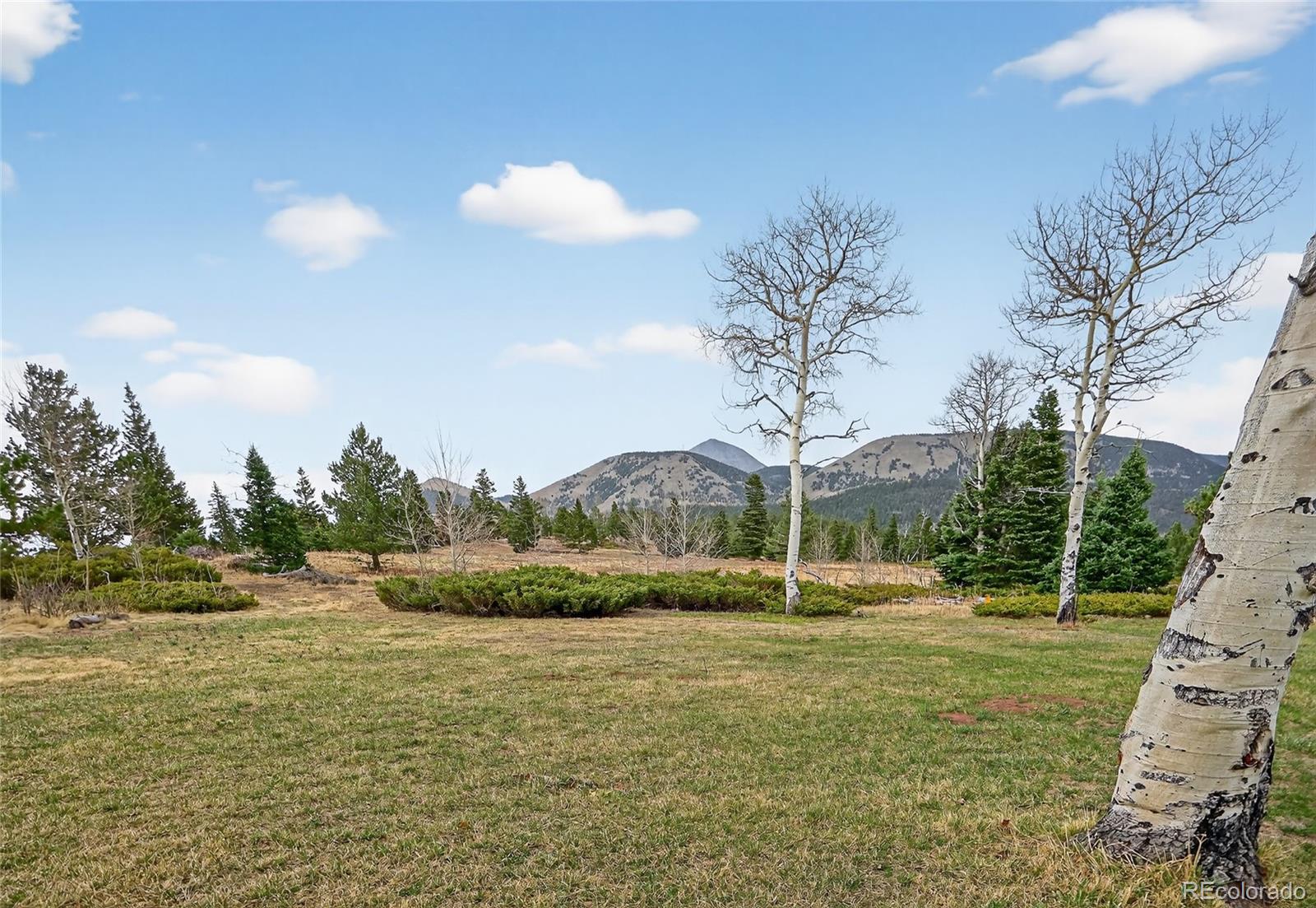 MLS Image #43 for 730  panadero loop ,cuchara, Colorado