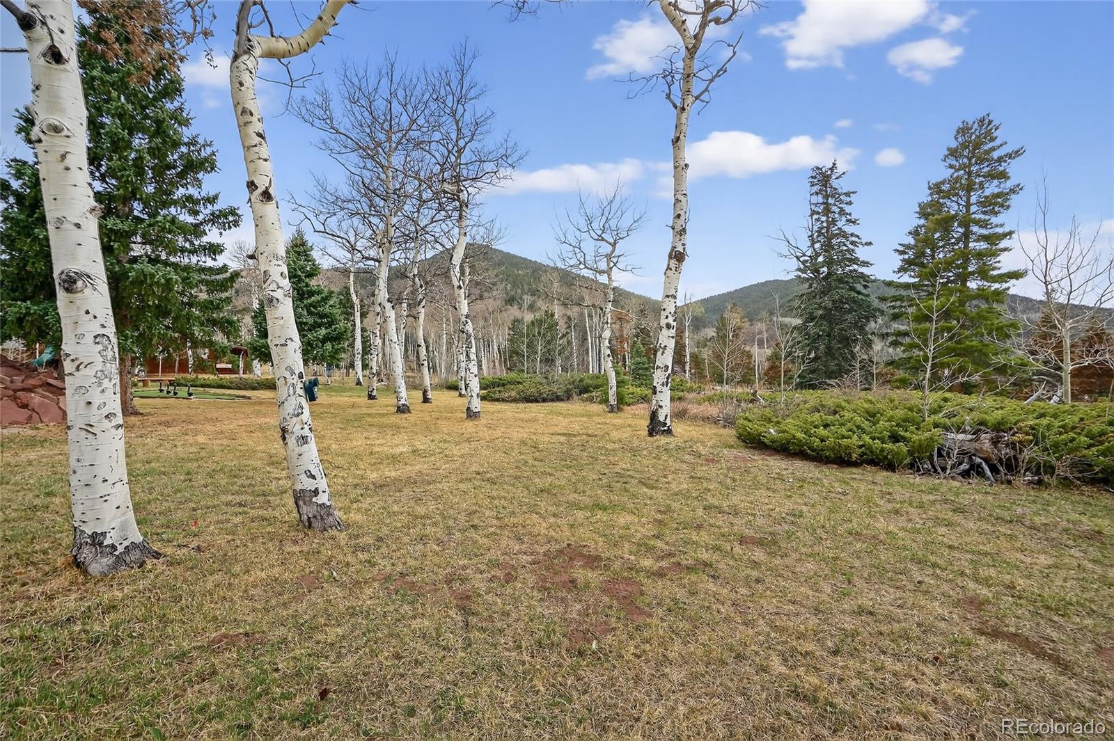MLS Image #44 for 730  panadero loop ,cuchara, Colorado